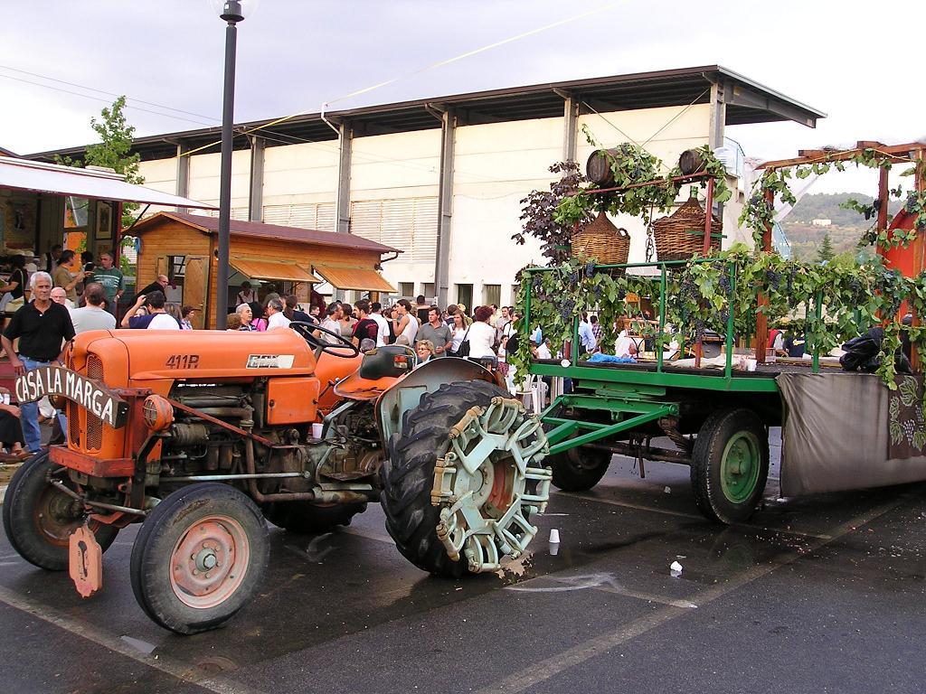 FestaUva (33).JPG